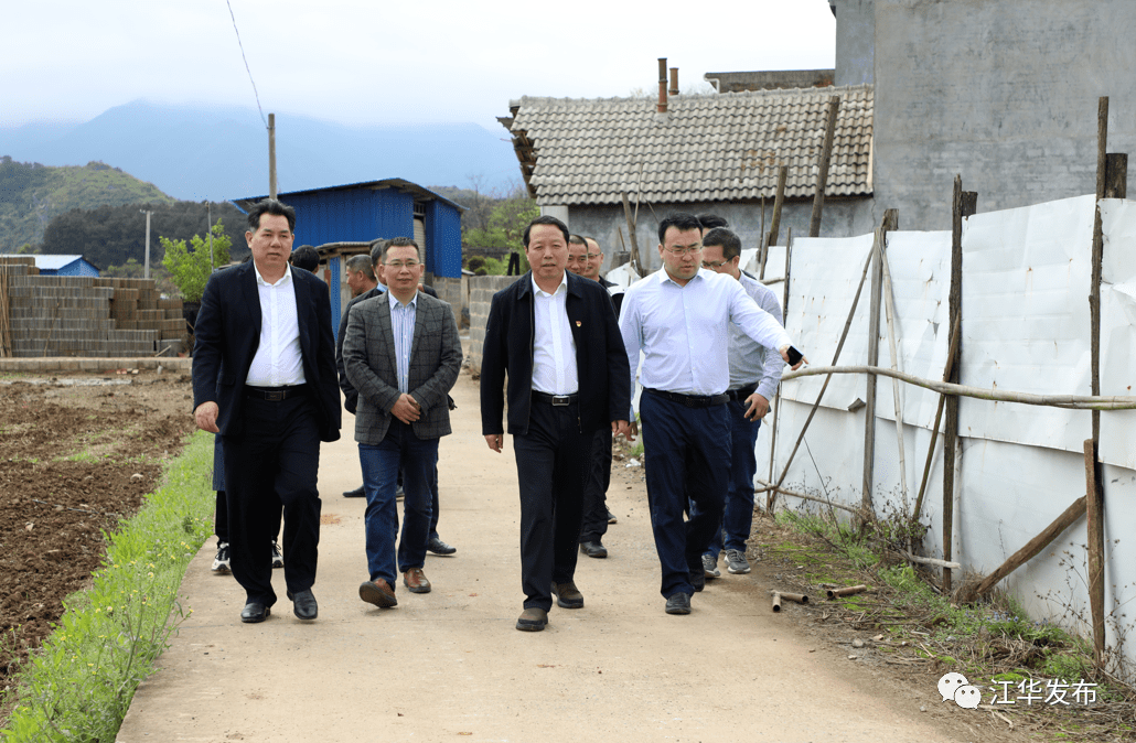 乡村振兴段贵建调研春耕生产乡村振兴等工作
