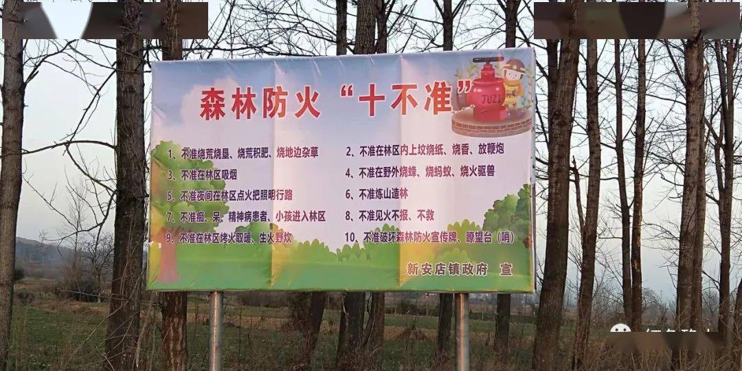【视点】新安店镇:备战森林防火,行动刻不容缓_灭火_工作_宣传牌