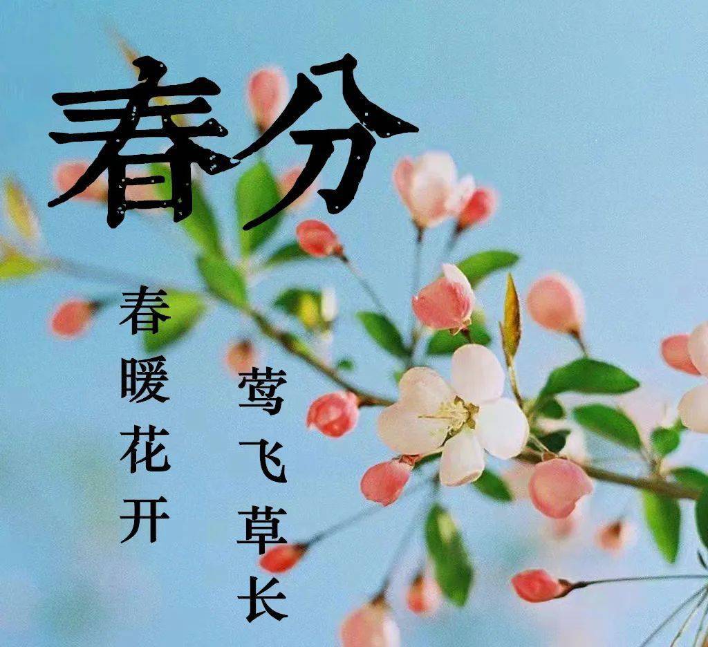 3月20日春分早上好祝福语图片大全问候动态表情图片大全