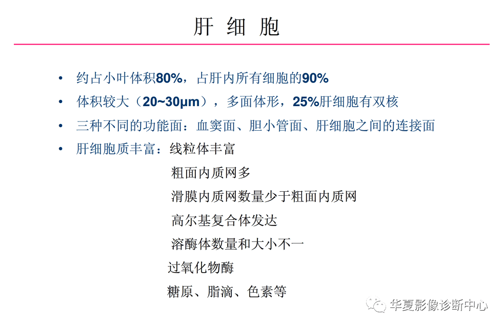 解剖|肝脏影像学与系统解剖