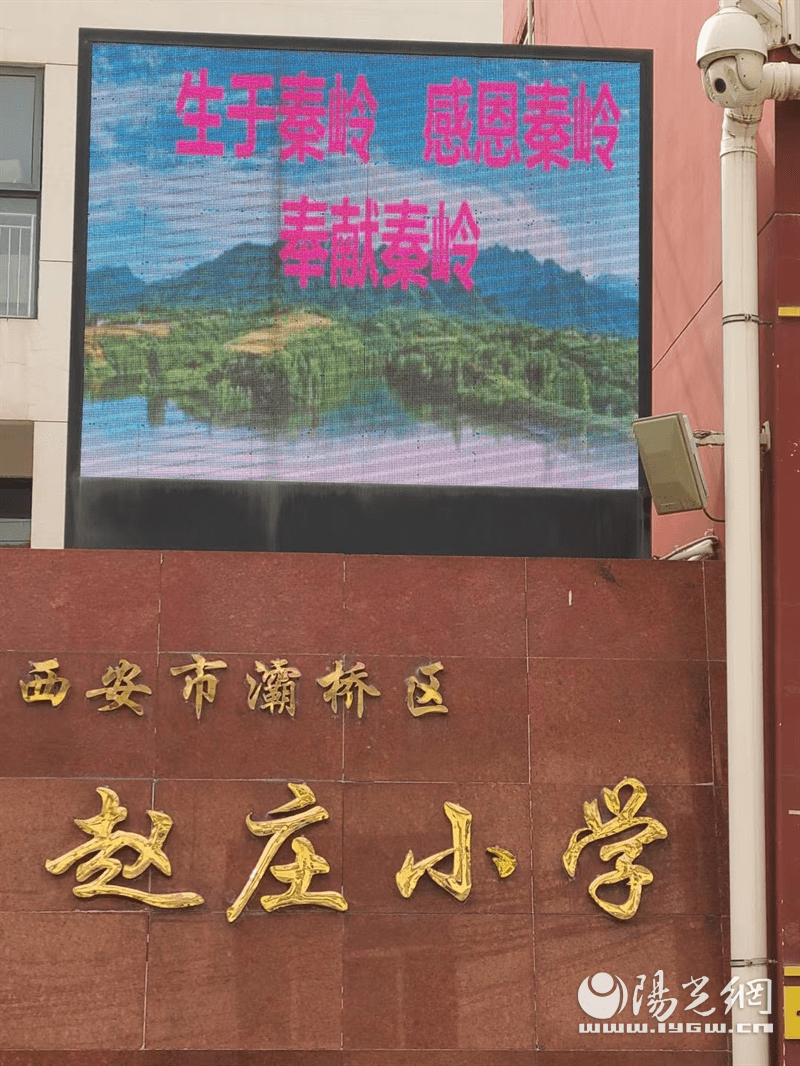 赵庄小学图片图片