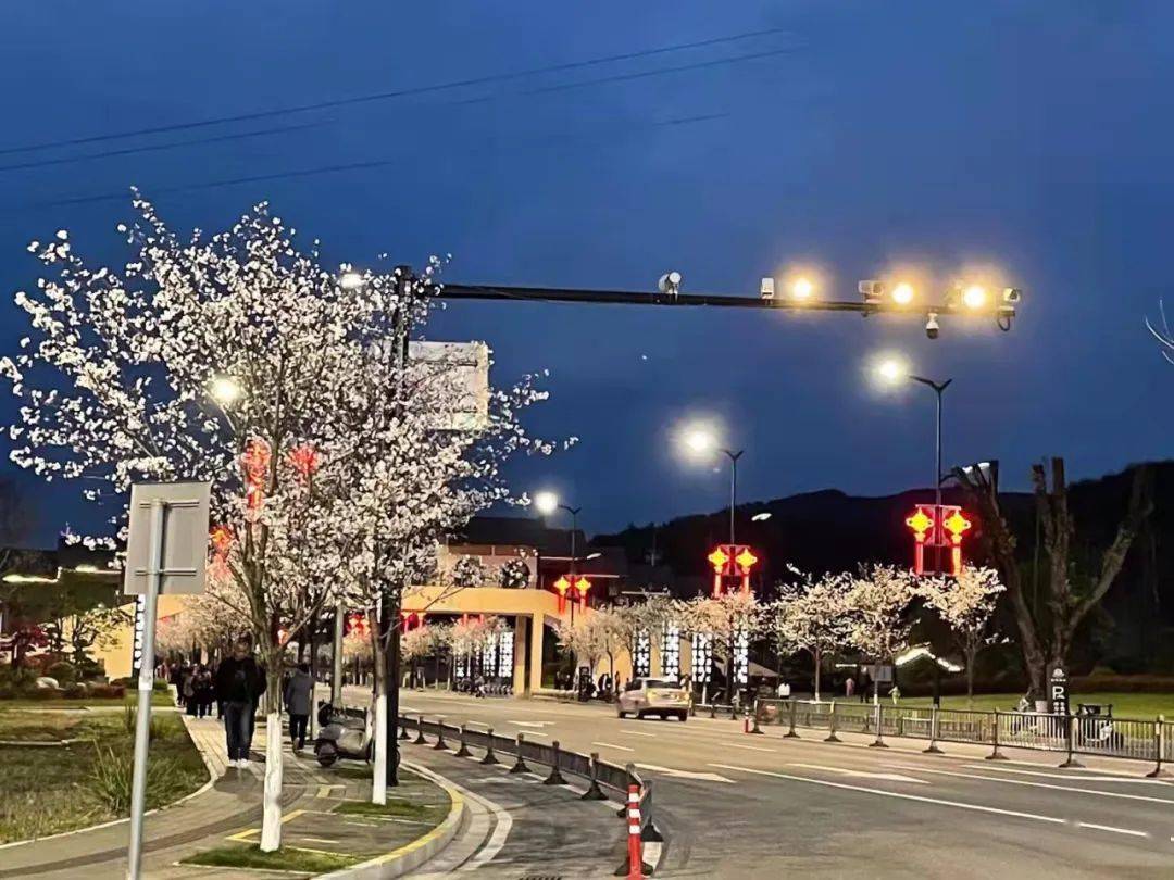 又是樱花烂漫时一起去横峰解锁春日的樱花限定