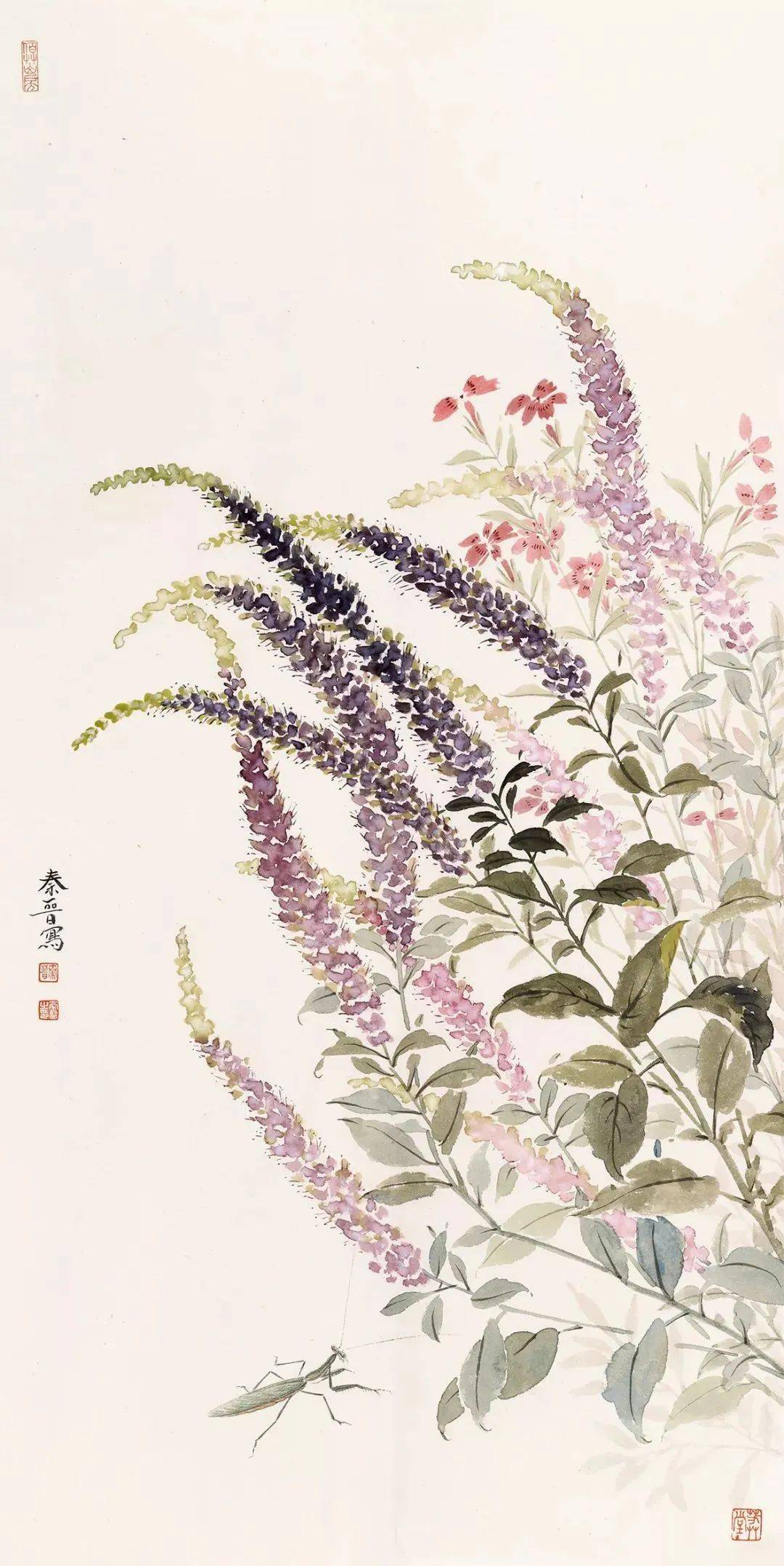 宋秦晋的没骨画花卉99幅清雅恬静如梦境般虚幻