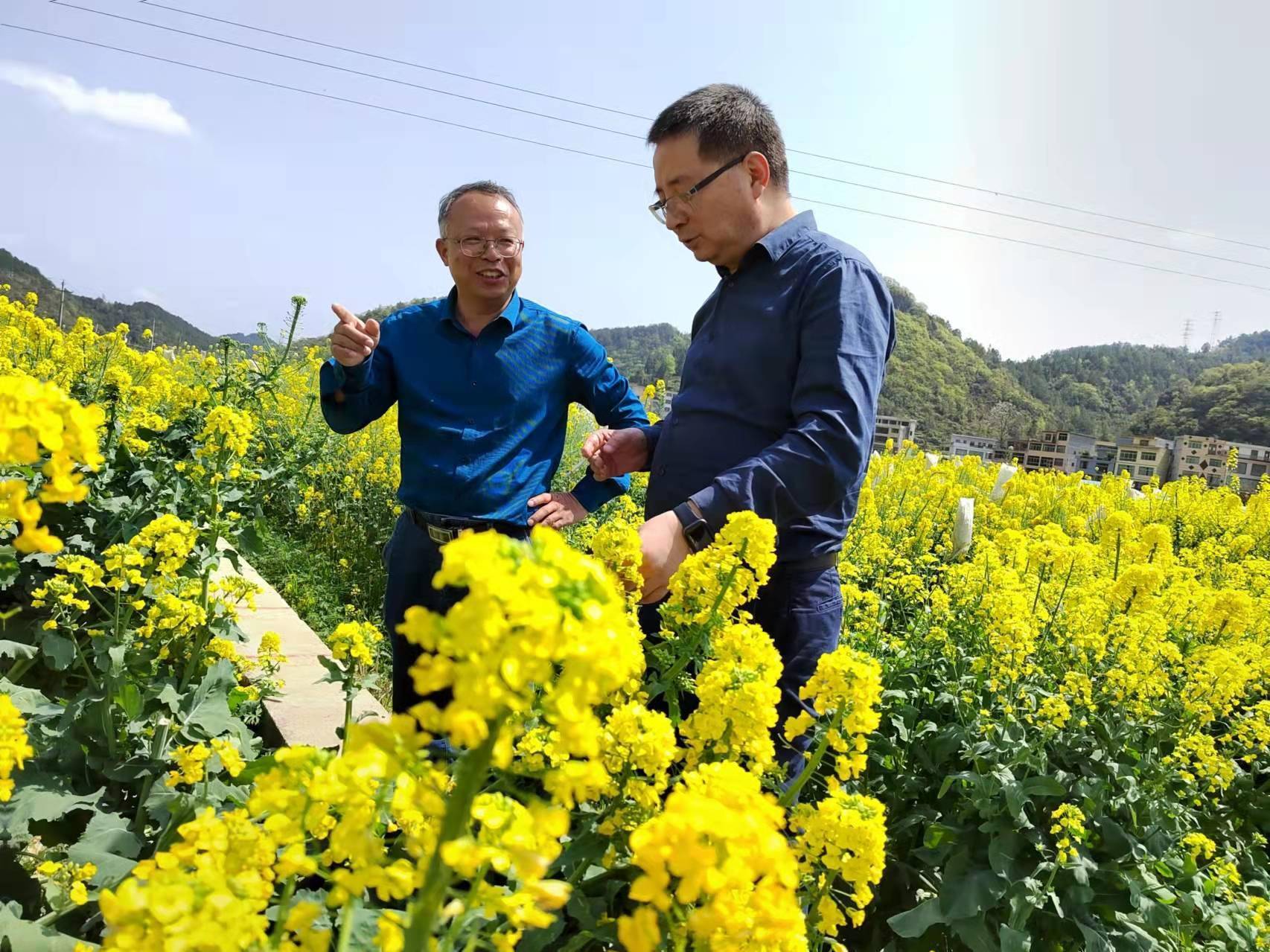 邵建成副厅长赴长顺县调研指导农产品加工