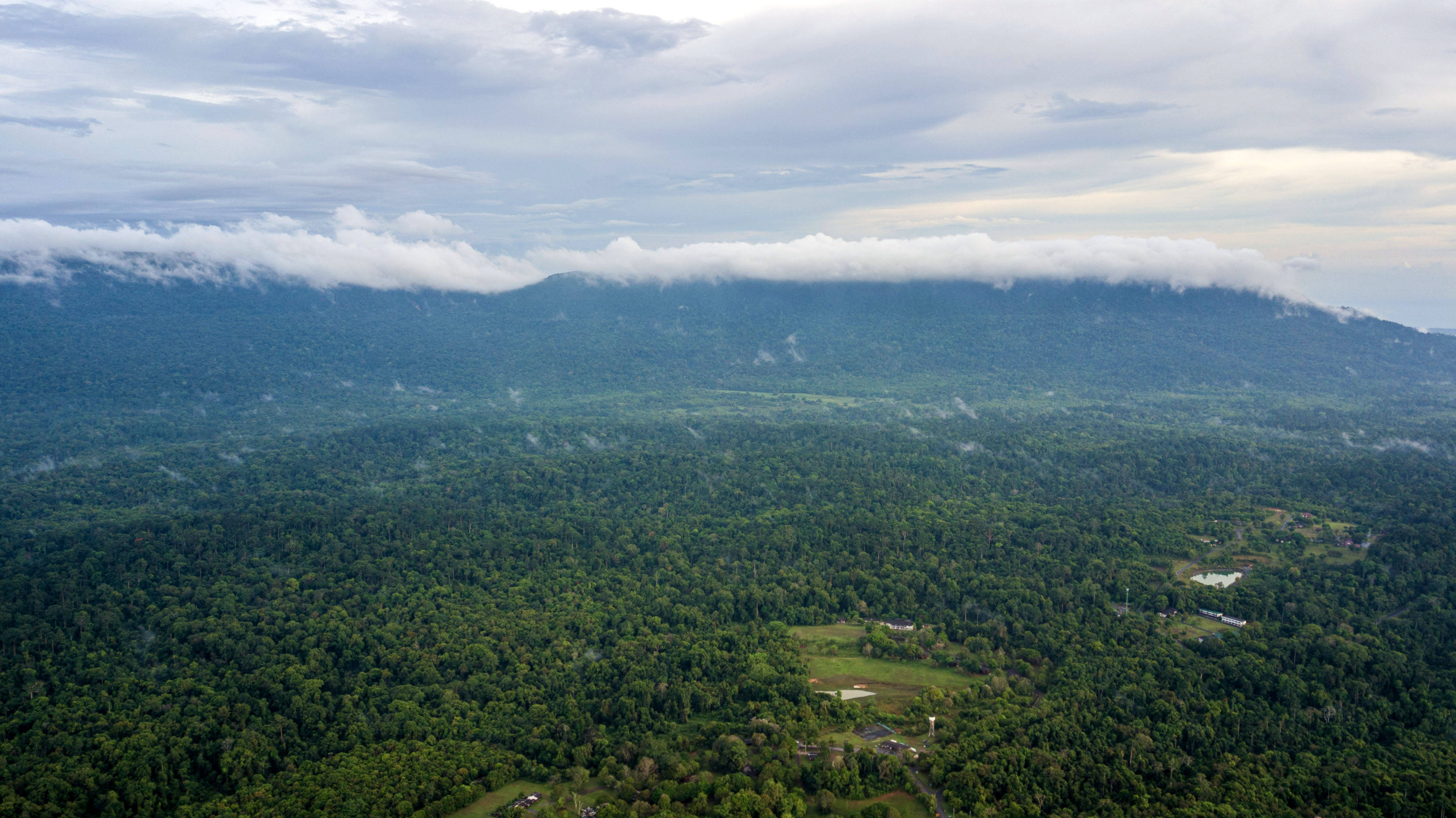 国际森林日——"飞阅"泰国考艾国家公园_新华社_照片_王腾