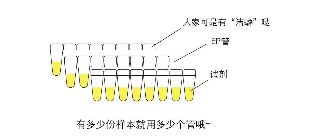 核酸检测结果为何迟迟不出？看完这个过程，你就懂了→