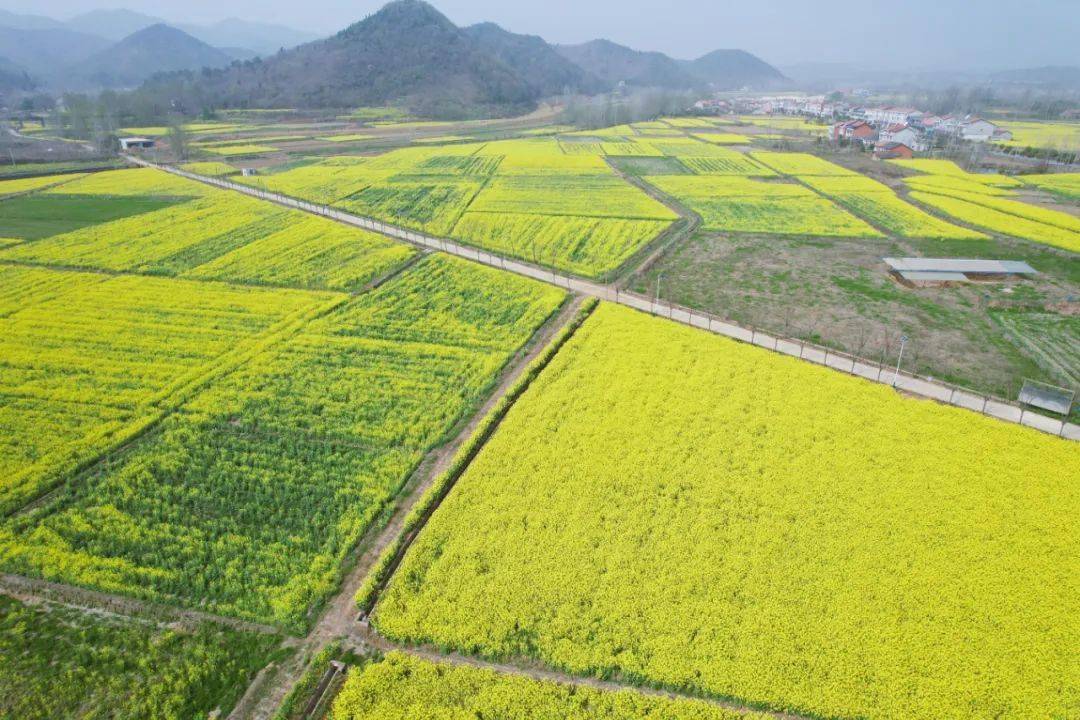 绿色_坪坝_付含露