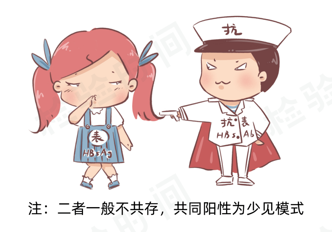 乙肝两对半到底怎么看漫画教你轻松读懂24种组合