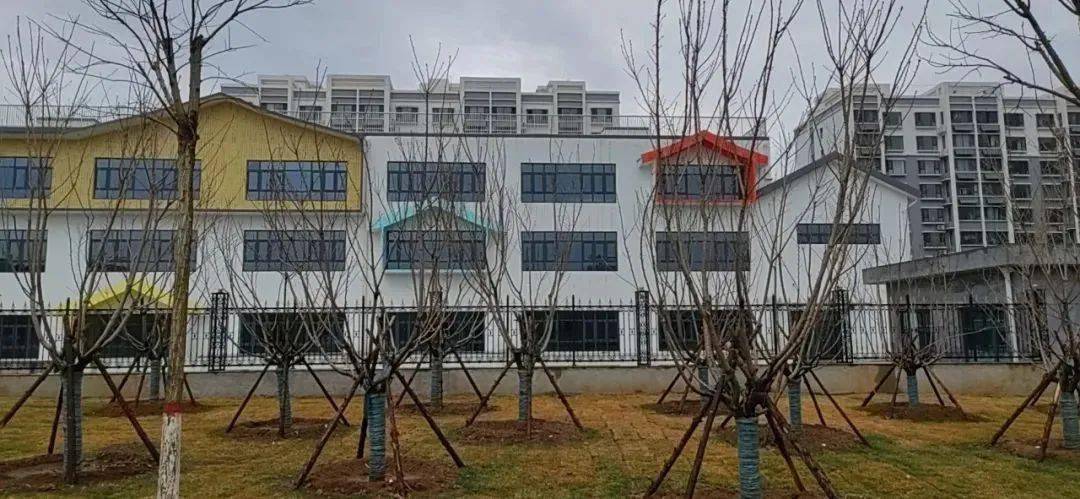 在龙渠社区城中村(片区)改造回迁安置房现场,工人已全面进场施工,基桩