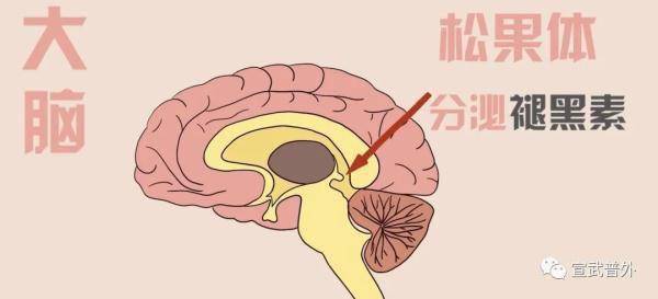 时间|世界睡眠日——睡眠只能吃药治？