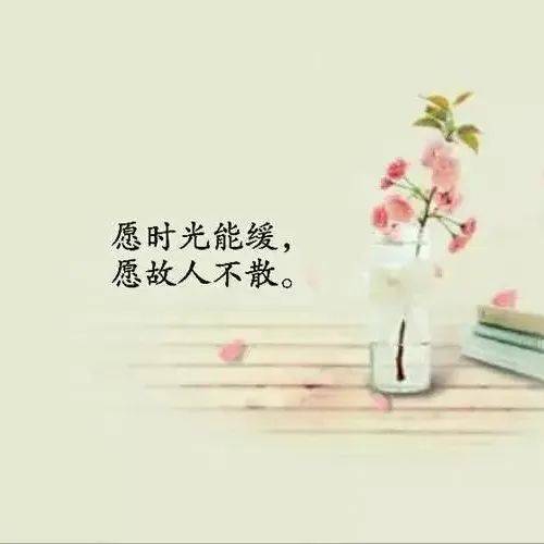 爱不随人愿,只留真心人_风景_人生_少点