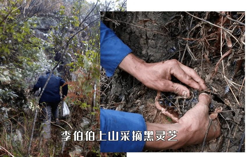 国货白发越长越多？用这个老国货养出乌黑秀发，显小10岁！