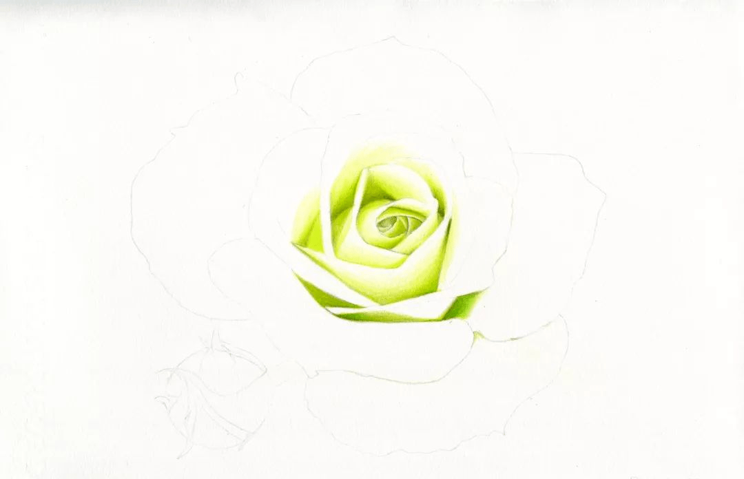 彩铅花卉教程如何用彩色笔画一朵淡淡的彩铅白玫瑰