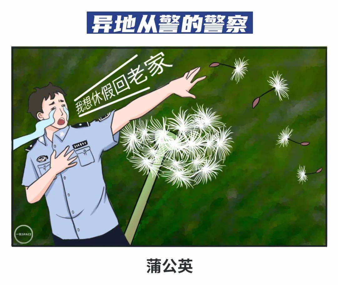 来源|如果每一类警察都是一种花，那你是什么花？