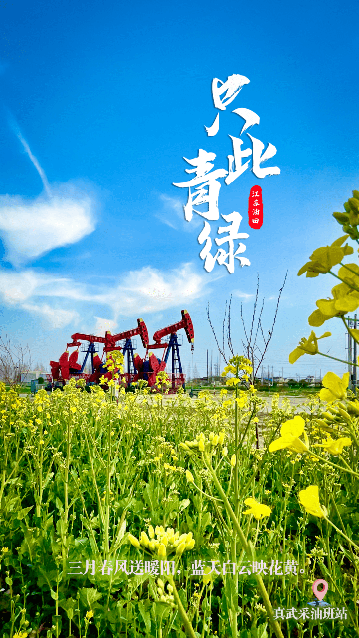 快约来江苏油田看只此青绿