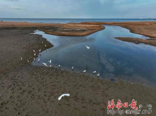 孙清|海南的水，真美！