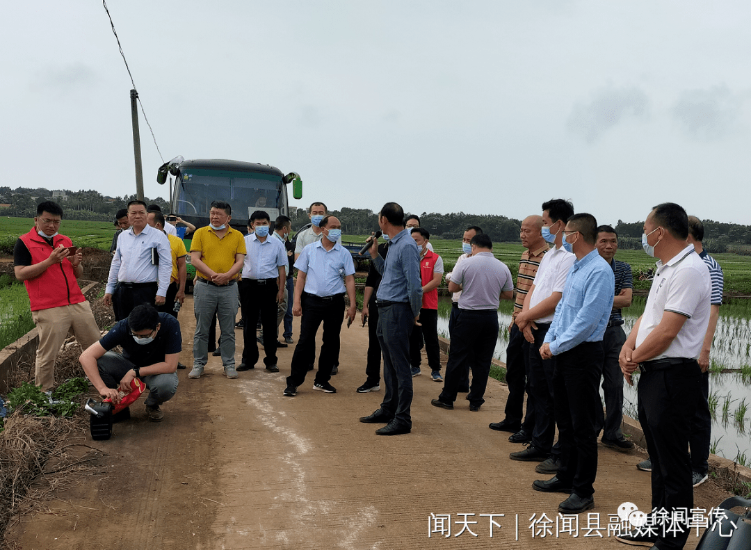 徐闻抢抓农时掀起春耕春播热潮组织现场观摩农业春耕生产暨撂荒耕地