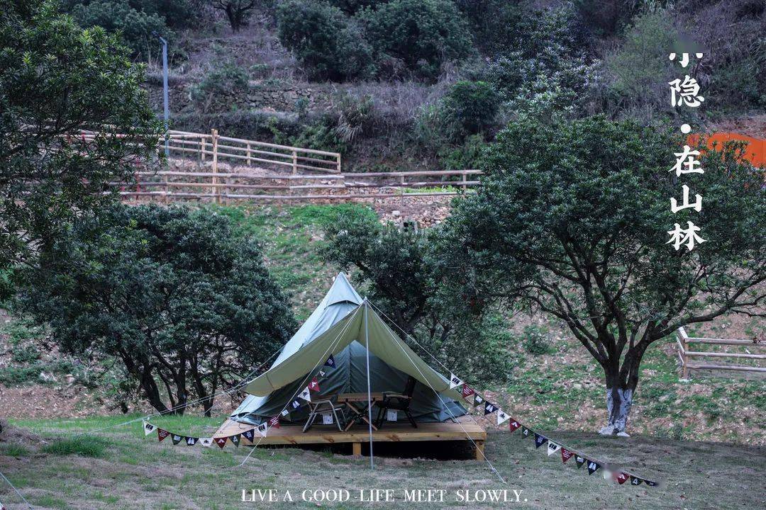 露營基地平陽-哈林野奢踏上追逐春天的旅程吧和家人朋友一起『在花海