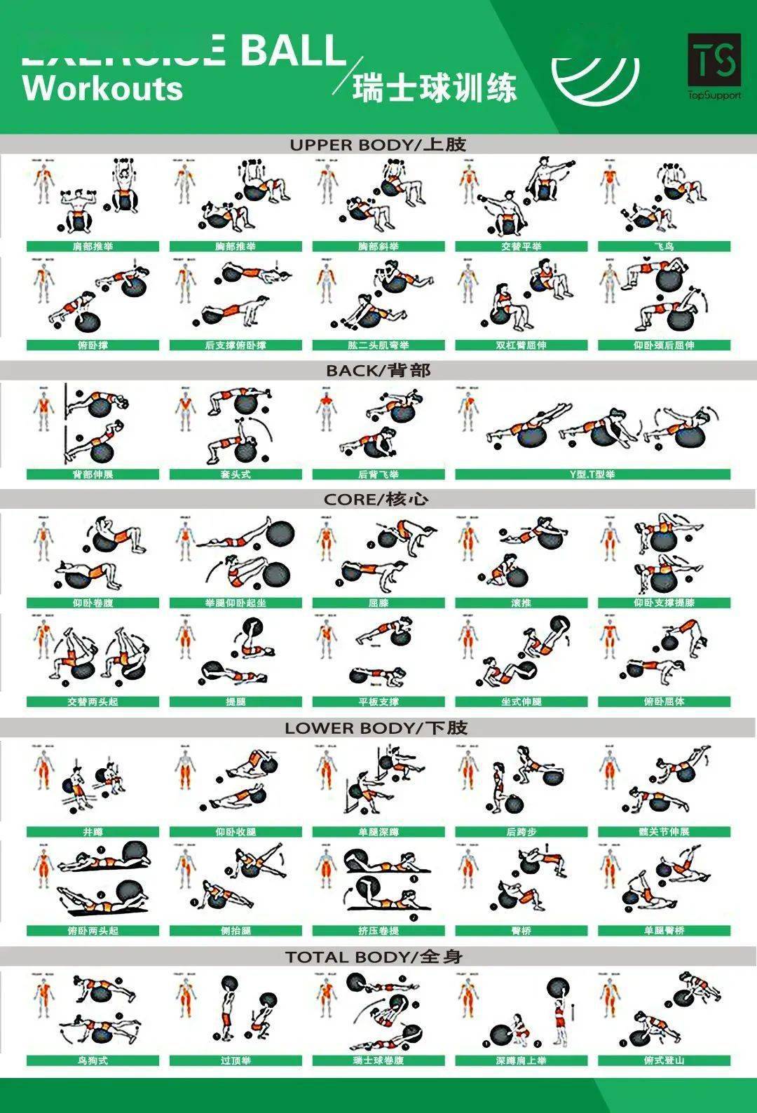 体能训练动作库图解大全值得收藏