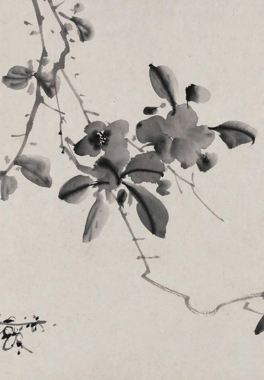 徐渭《十二墨花图》，笔触狂放，水墨淋漓_写意_花卉_竹子