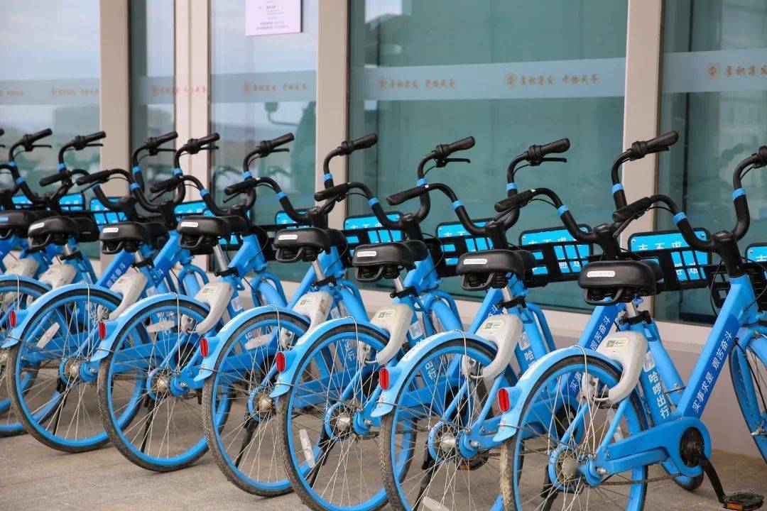 校区专属版共享单车投入使用!_认证_精神_校园