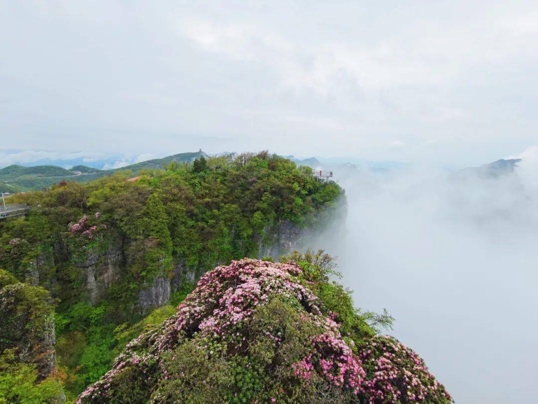 本人有效证件|龙头山景区3月25日恢复开园！免门票活动来袭！