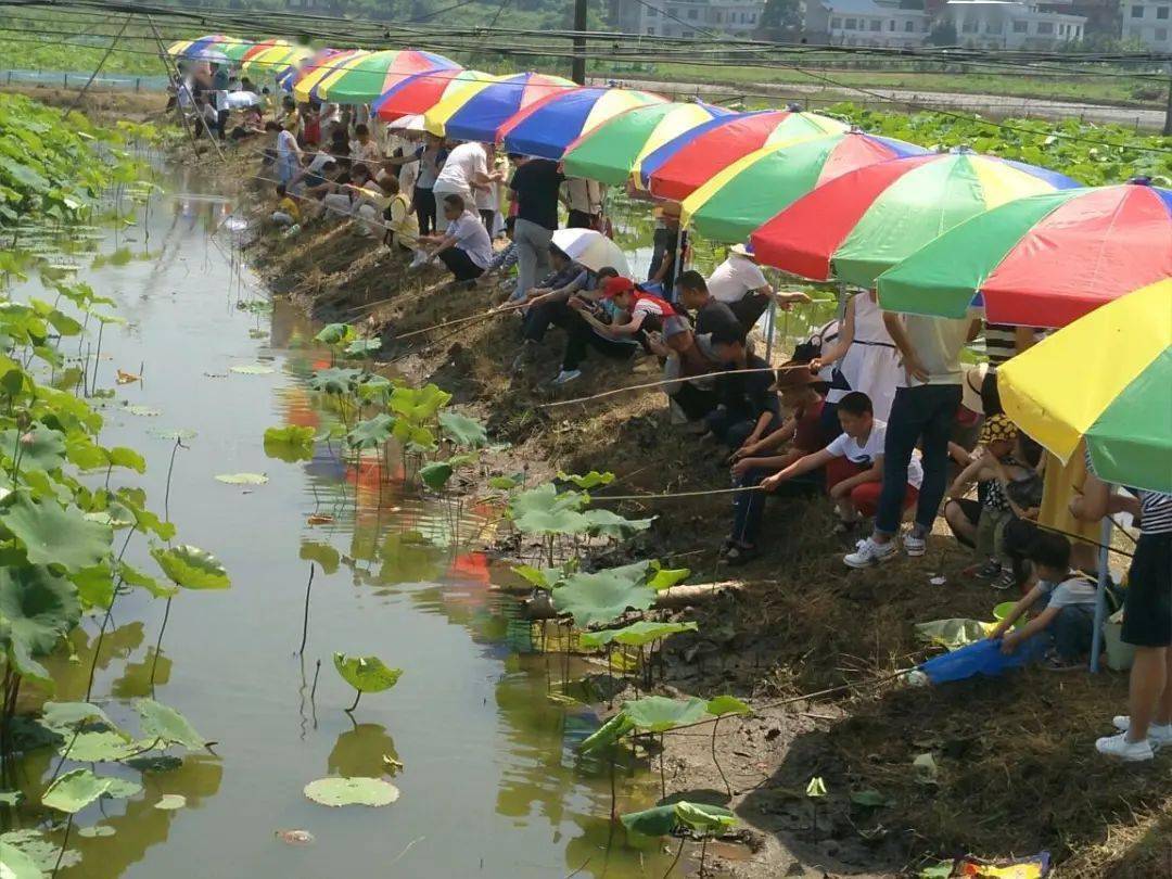 钓龙虾啦内江这几个钓虾秘密基地20元一斤最快10分钟到达
