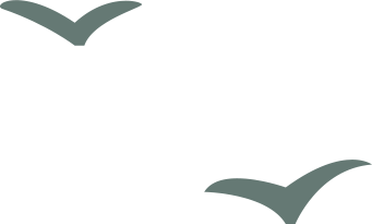 福建|事关清明祭扫！福州、泉州、漳州……多地最新通知→