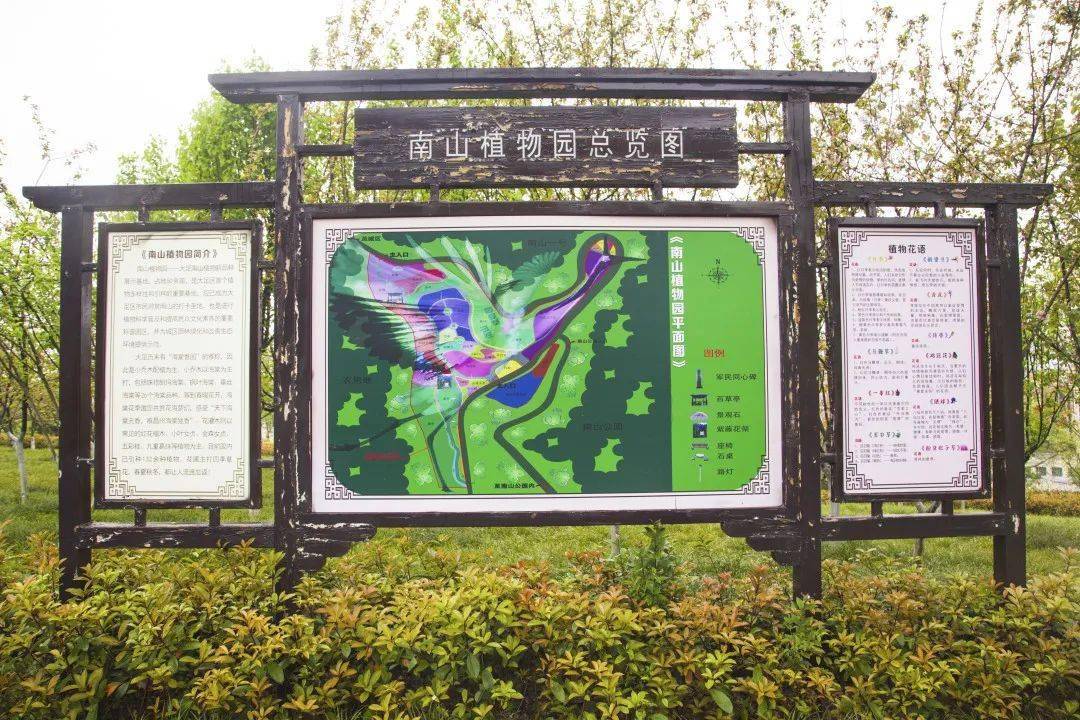 大足南山公园将醉美春色献给你_花儿_植物_城市