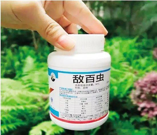 真要命绍兴柯桥一大叔自己当医生用敌百虫泡白酒治病结果