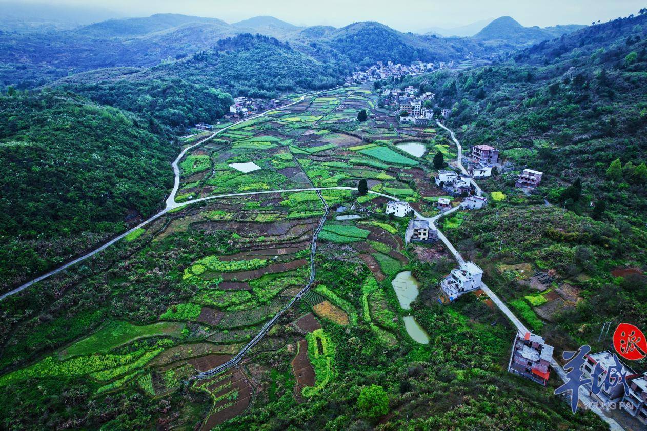 图集韶关乐昌庆云镇盎然春意莫若此八百余岁户昌山