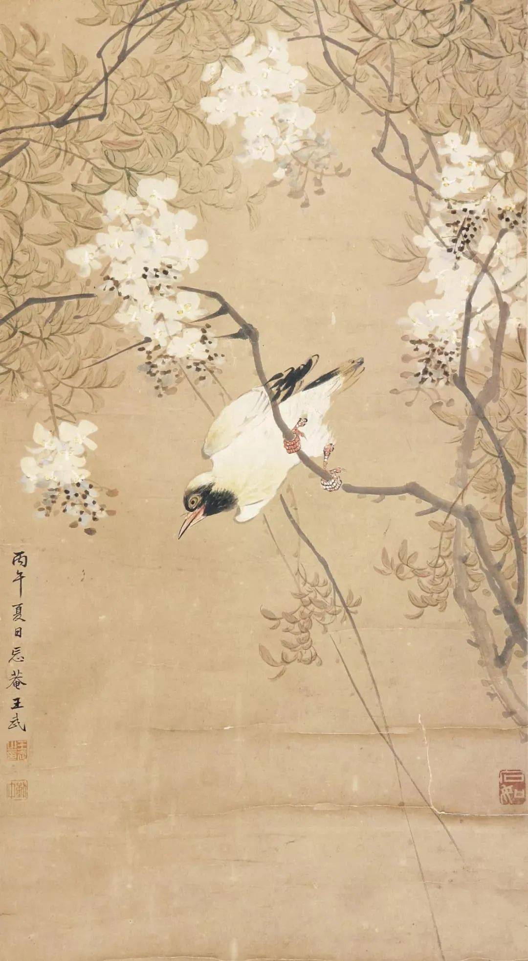 清代名家王武花鸟,秀丽多姿_鉴赏_院画_书画