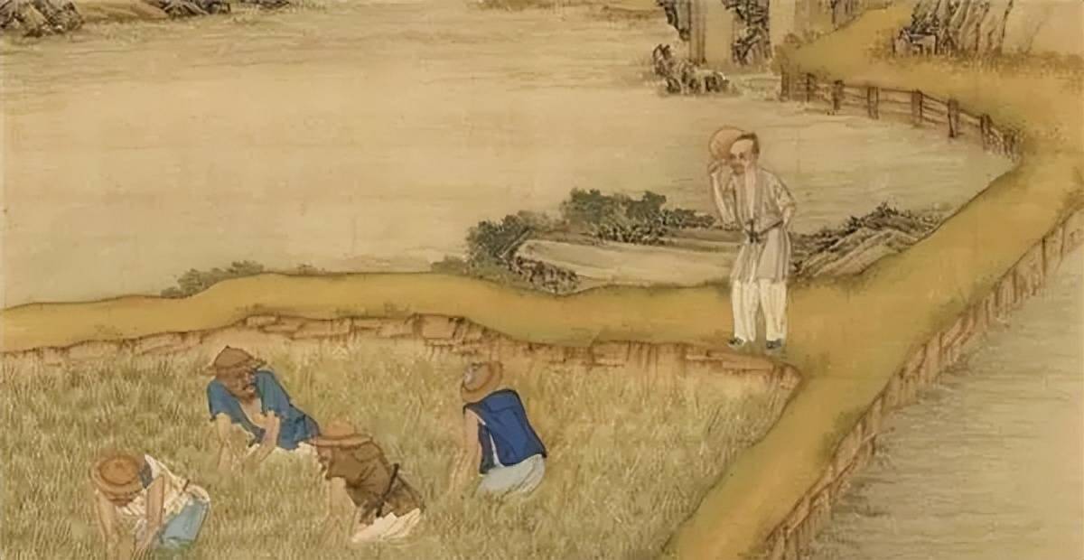 从农业经济学角度看华夏历史,你知道多少?_种植_人口_小麦
