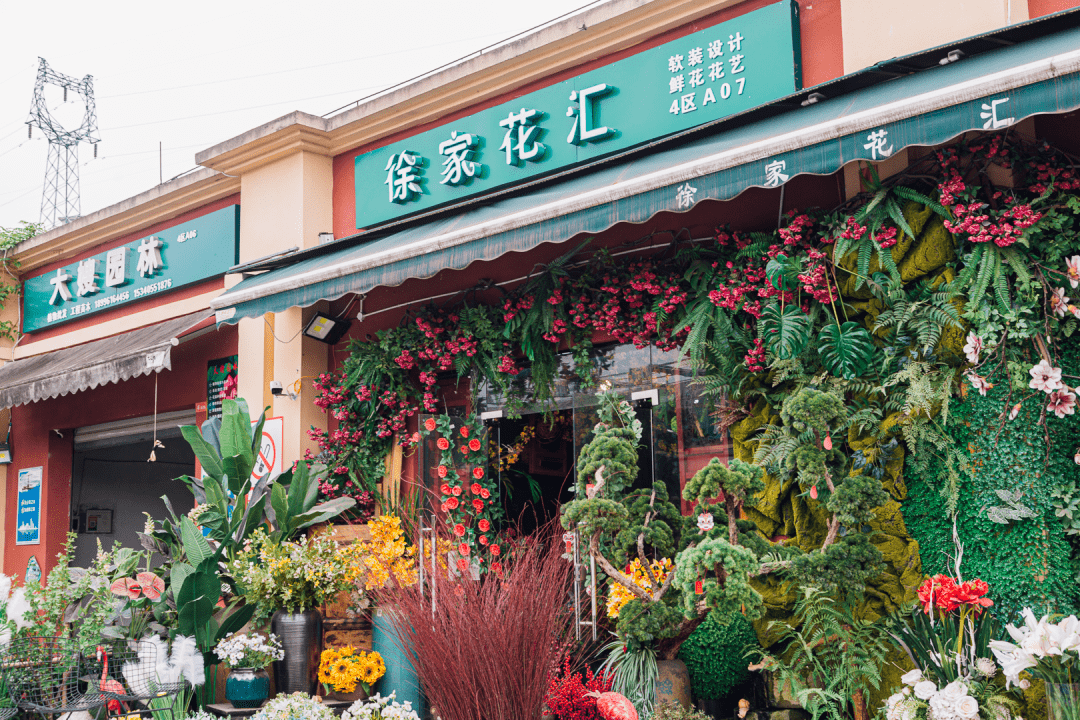 重庆沙坪坝花卉市场图片