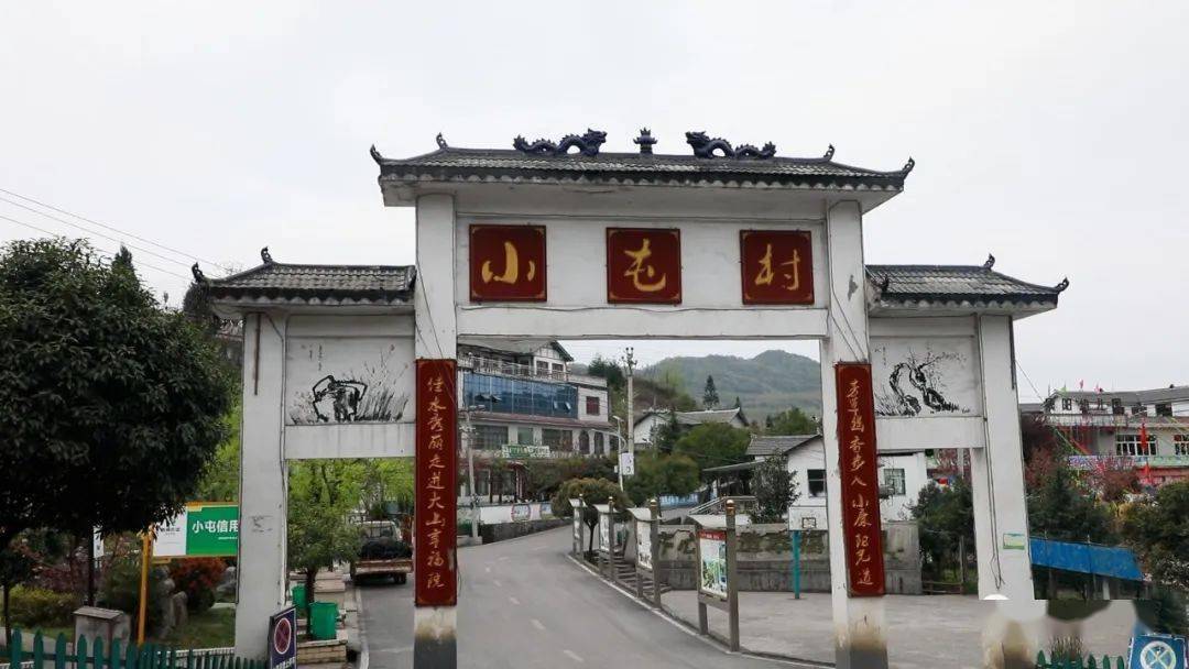 原始杜鹃花林带长约10公里的有一处藏在大山深处在纳雍县鬃岭镇小屯村