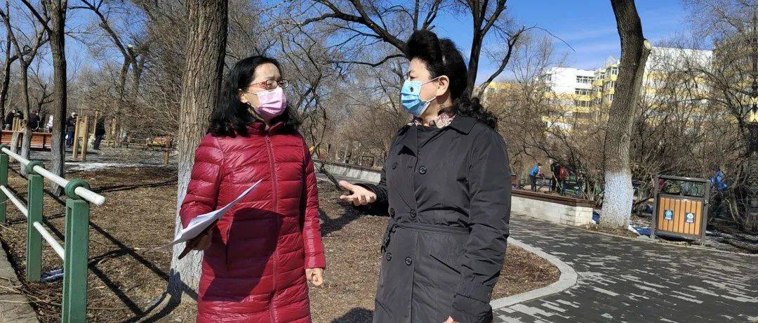区委常委、常务副区长、区河湖段长刘蕊深入马家沟开展巡河_问题_工作_凌汛