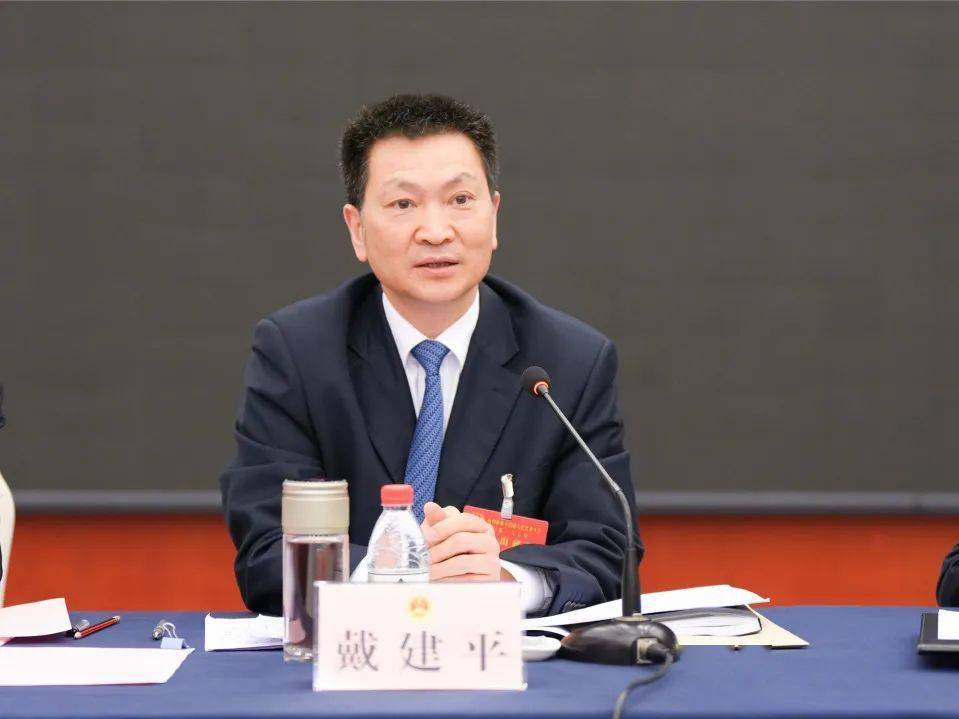 市人大代表:市人大常委会党组成员 戴建平刘市长所作的政府工作报告