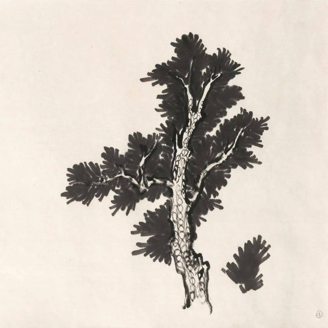 临摹陆俨少树石课徒稿示范_山水画_山石_树石法