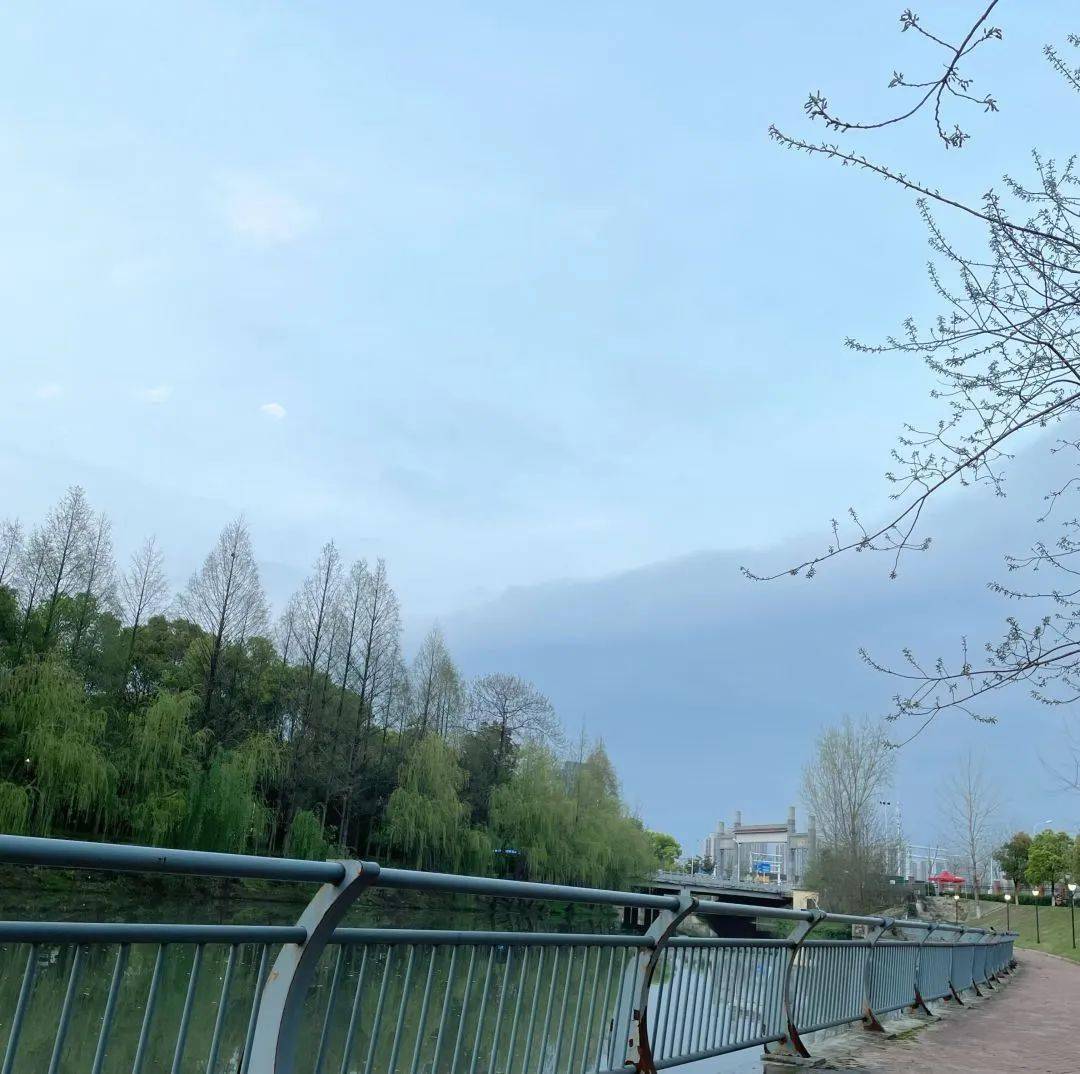 春路雨添花 花动一校春色_裴渡_学子_风光