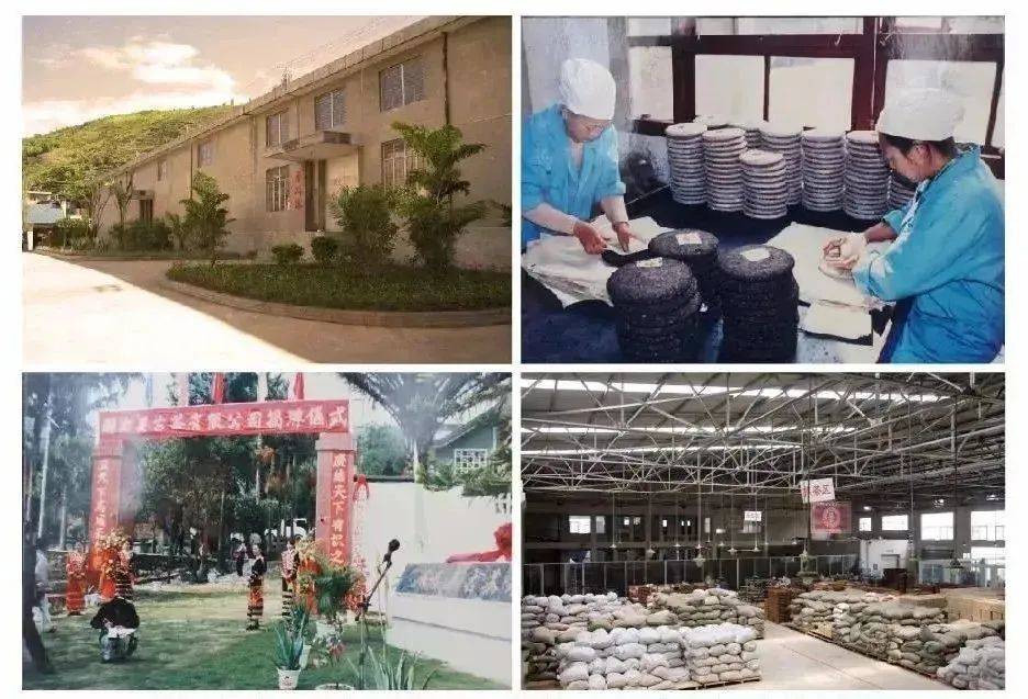 功效|好香！是春天的味道！