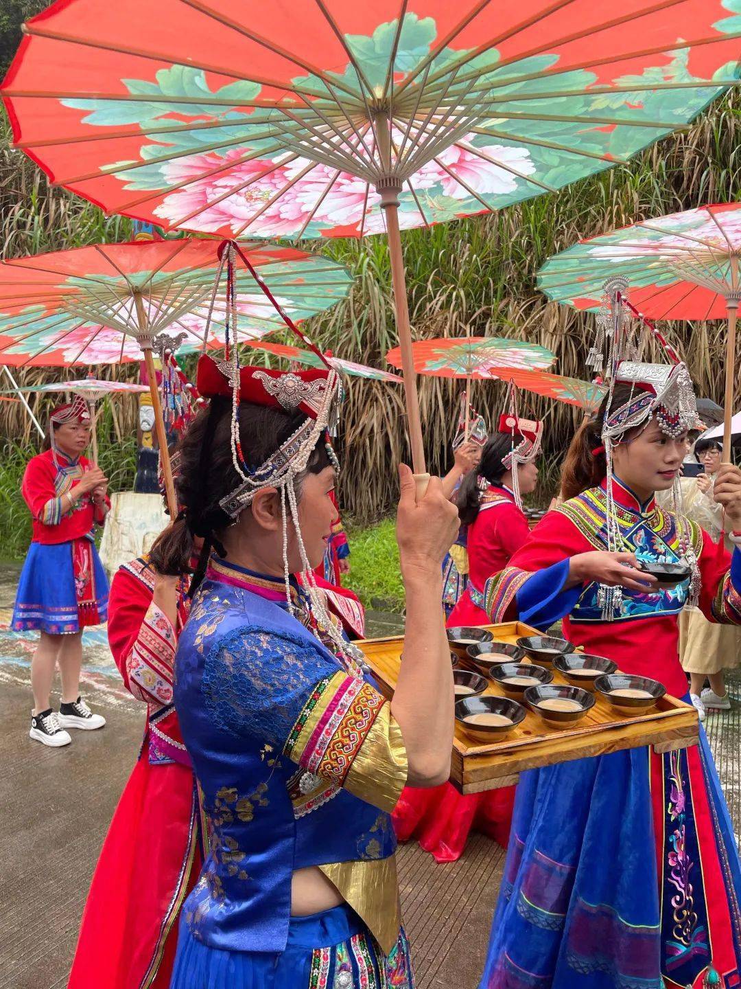 走进畲族只此青绿间春茶飘香来共饮大碗茶