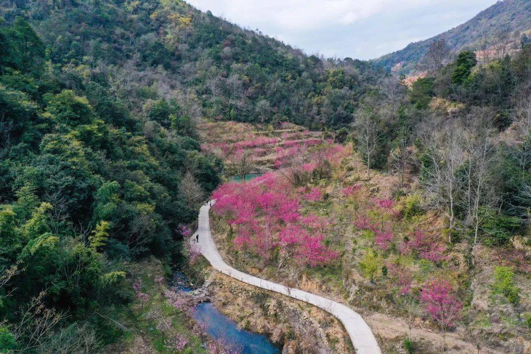 大荆镇桐阳村图片图片