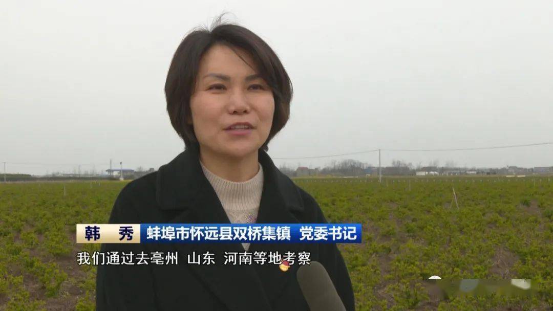 【榜样】韩秀:心有为民情怀 行有实干担当(上)_双桥集镇_怀远县_蚌埠