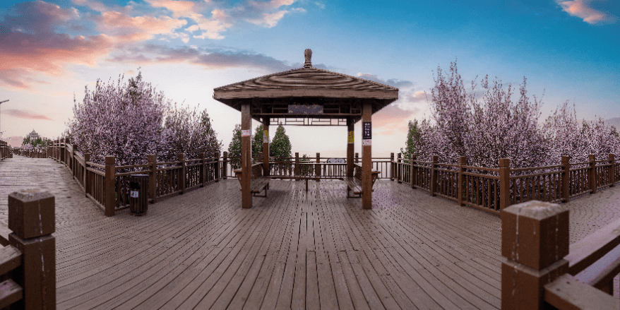 春日相约潼关岳渎公园我们不见不散