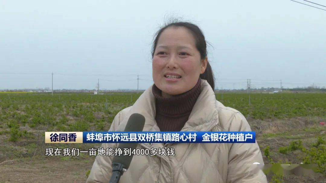 【榜样】韩秀:心有为民情怀 行有实干担当(上)_双桥集镇_怀远县_蚌埠