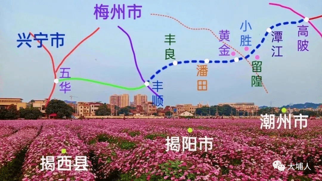 大丰华高速大埔至丰顺段规划线路走向_出口_潘田镇_建设