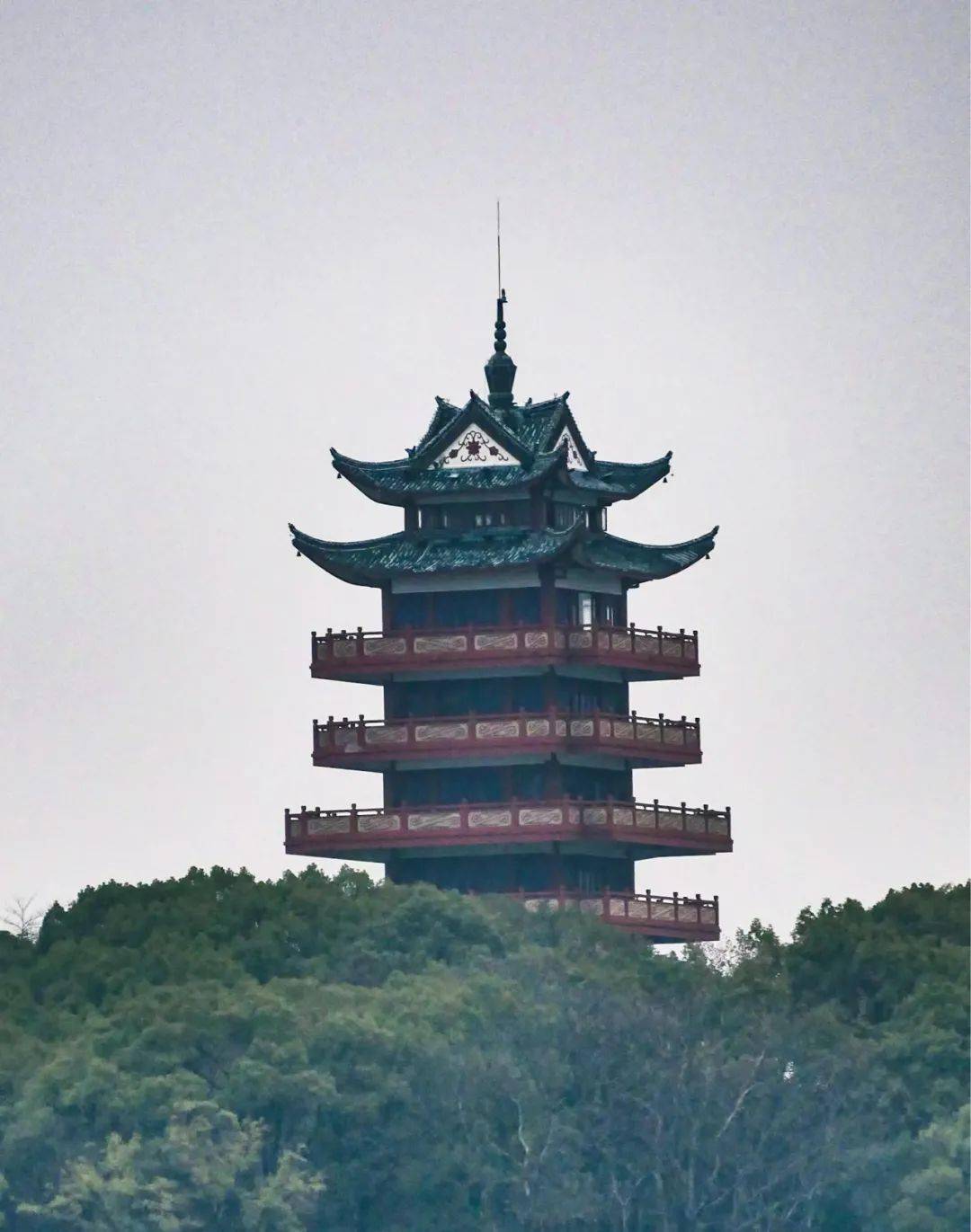 株洲赏春专线,出发!_建设路_石峰公园_东北