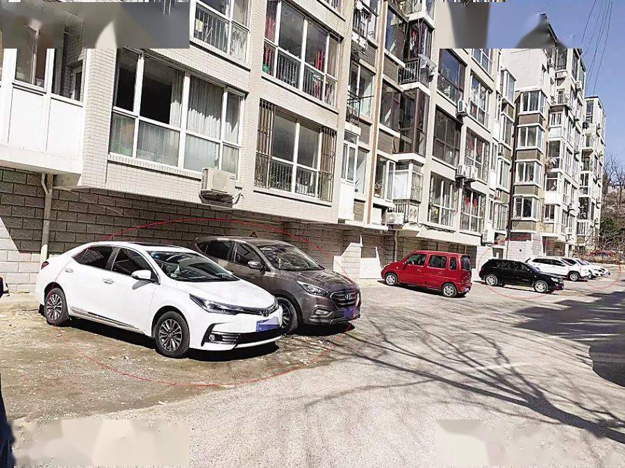 花坛 改 车位 能行 物业 大连 小区