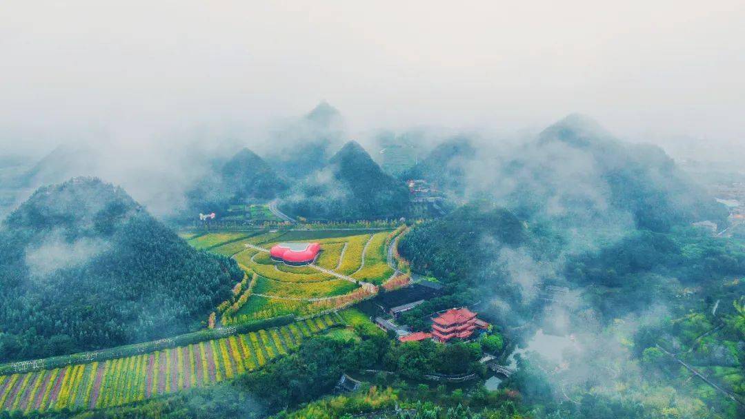 三月赏花打卡地兴义贵州醇景区