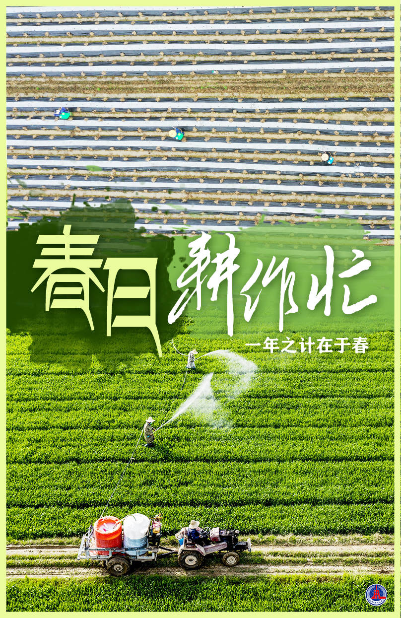 一年之计在于春_新华社_编制_胥晓璇